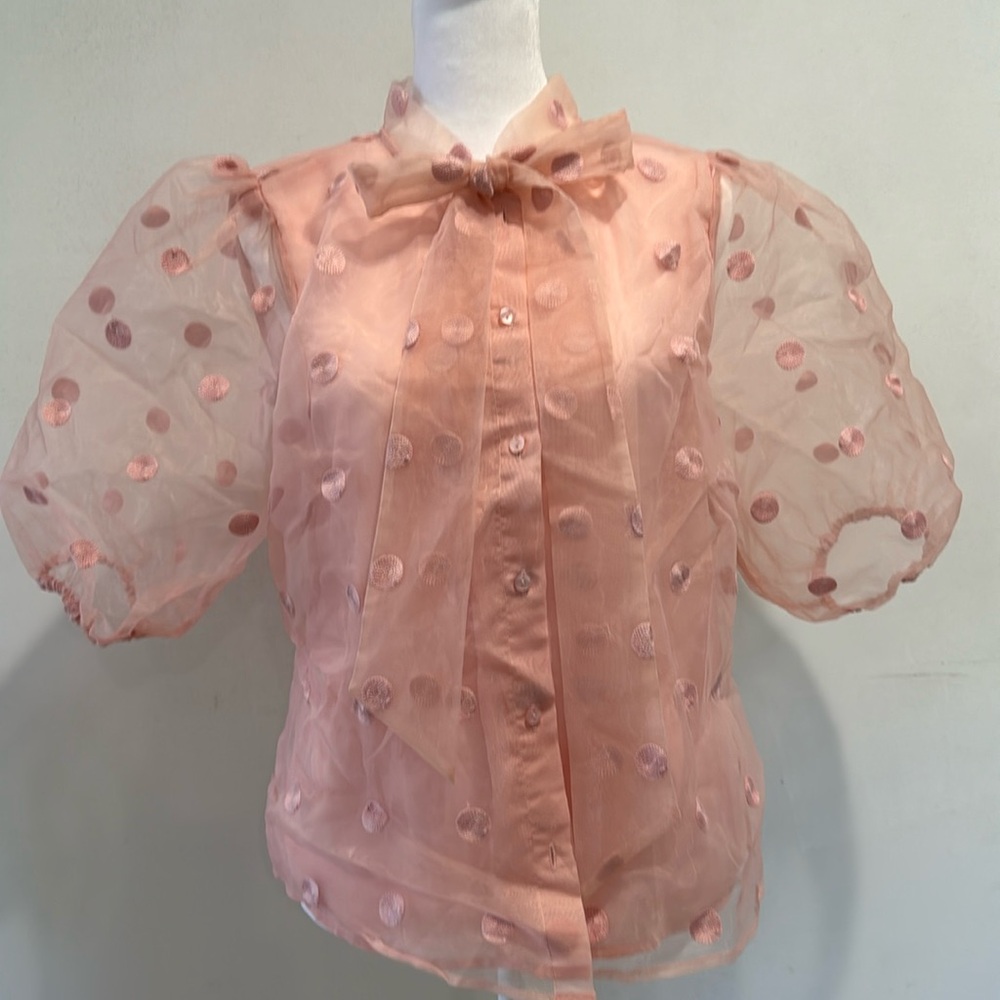 Blush Blouse - image 1